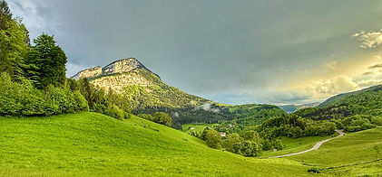 1ba33f3f-8dba-4a49-a732-39e643560a4e 2.JPG