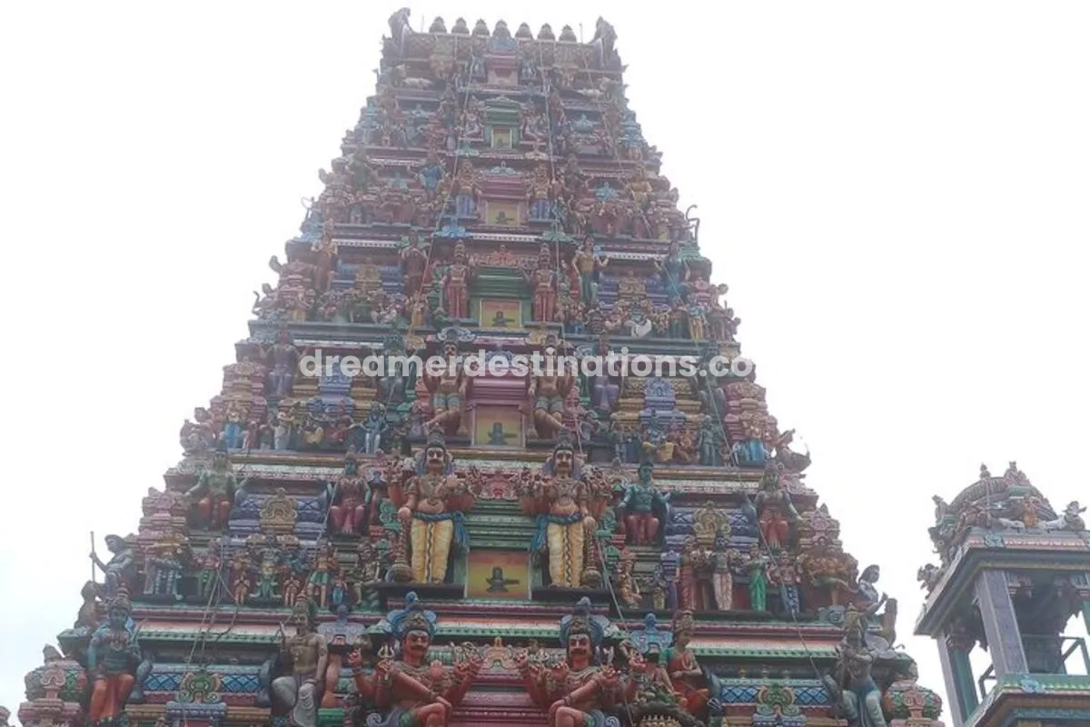 Tuk Trip is Very Cheap in Colombo (All-inclusive ) city tour