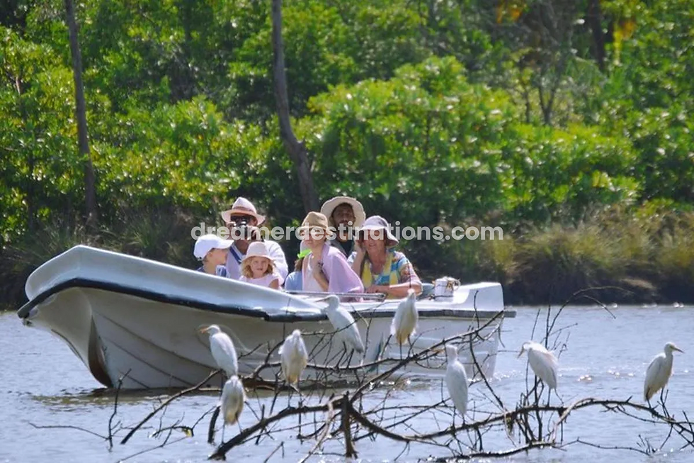 Thumbnail: Negombo Lagoon Boat Safari From Negombo