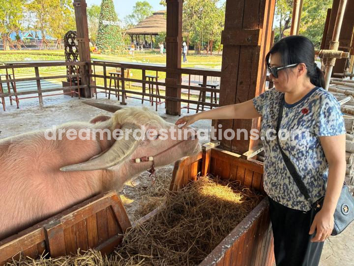 Thumbnail: Day Trip to Bangkok Floating Market & Maeklong Railway