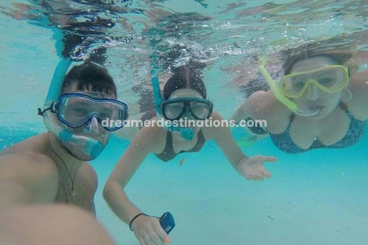 3 Point Snorkeling Safari