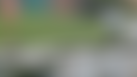 Seagulls#Minor: Video Experimentation.