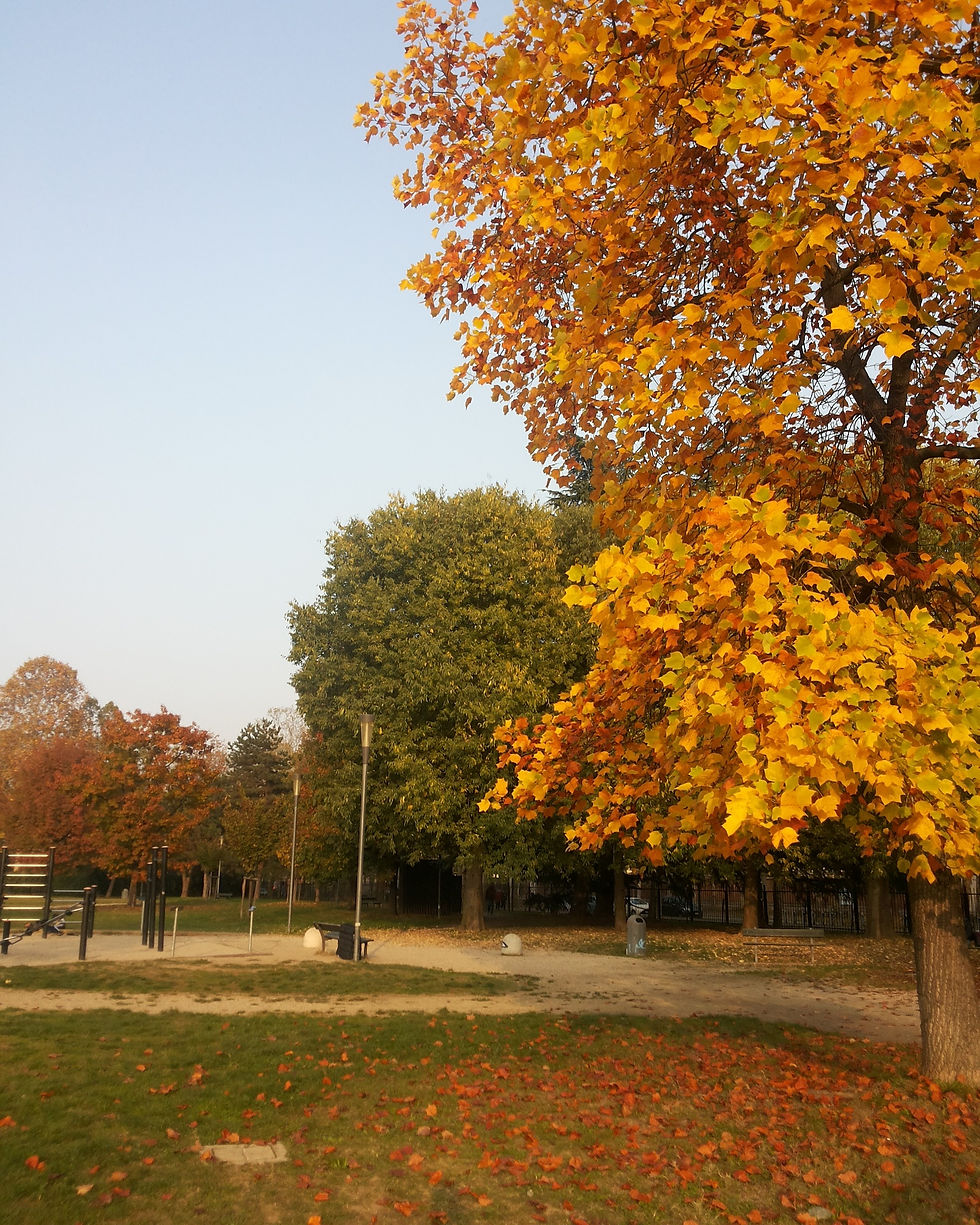 Turin garden