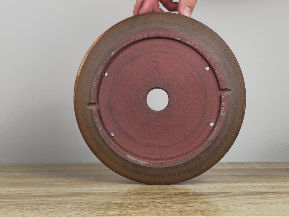 Large Bonsai Pots Plant It Nursery Johannesburg