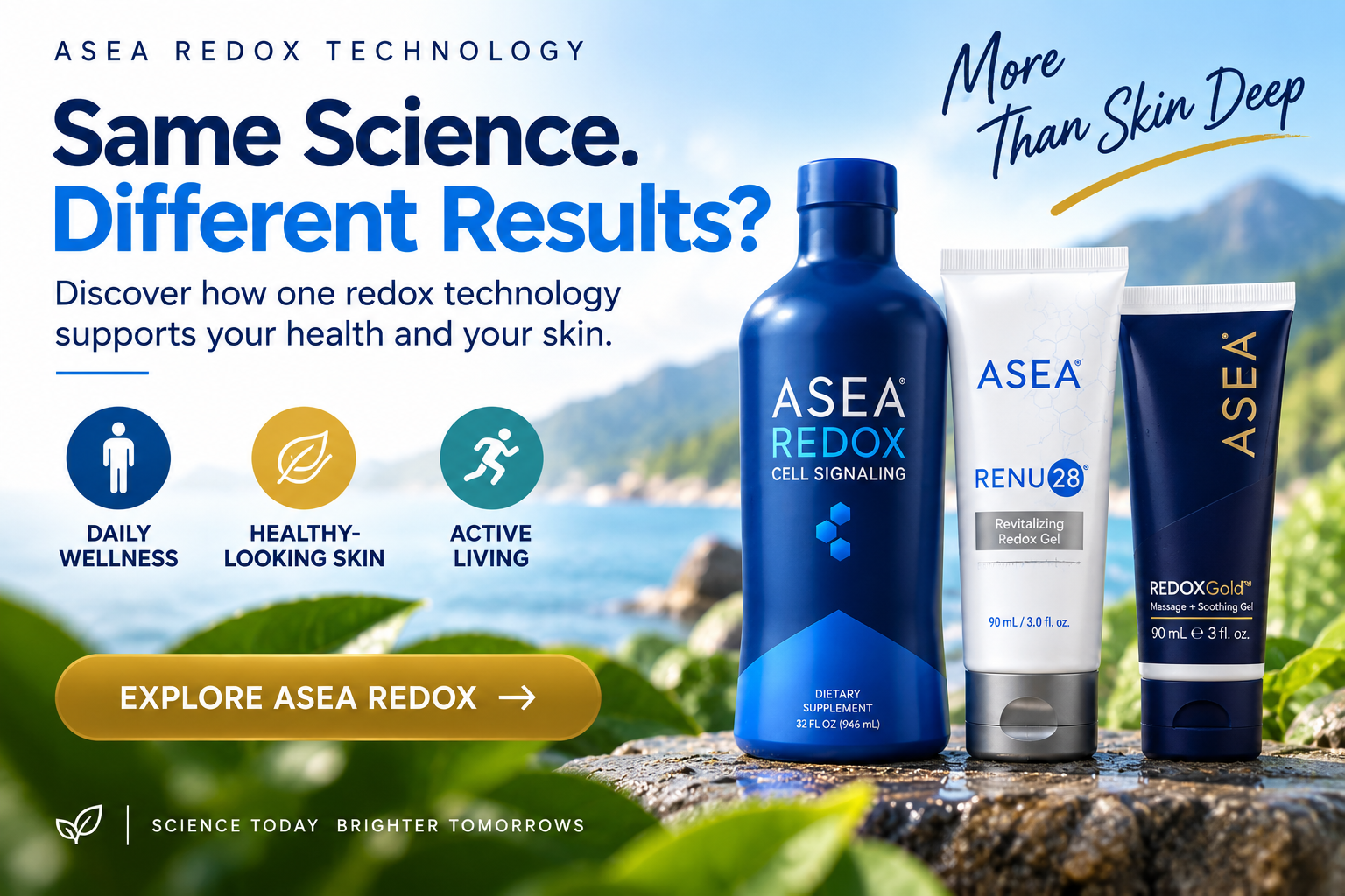 ASEA Redox product paths: Redox Supplement drink, RENU28 body gel and REDOXGold massage gel
