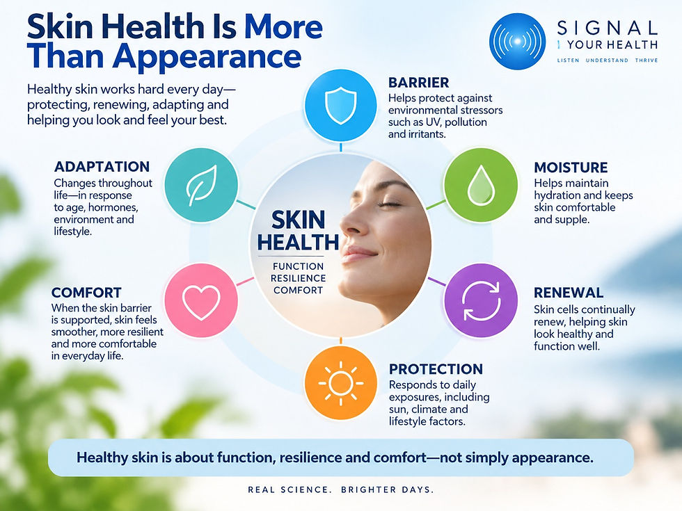 Skin health infographic explaining the roles of the skin barrier, moisture, renewal, protection, comfort and adaptation