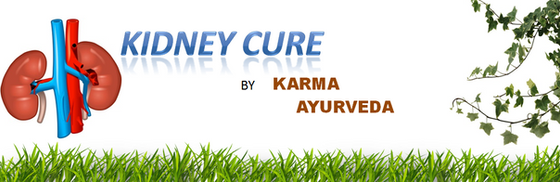 Get ayurvedic treatment for kidney failure with natural herbs