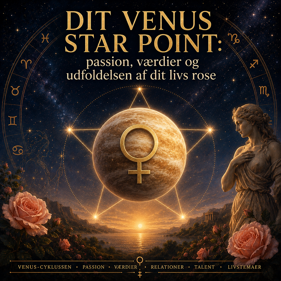 Dit Venus Star Point, on site v/ Marie Malling