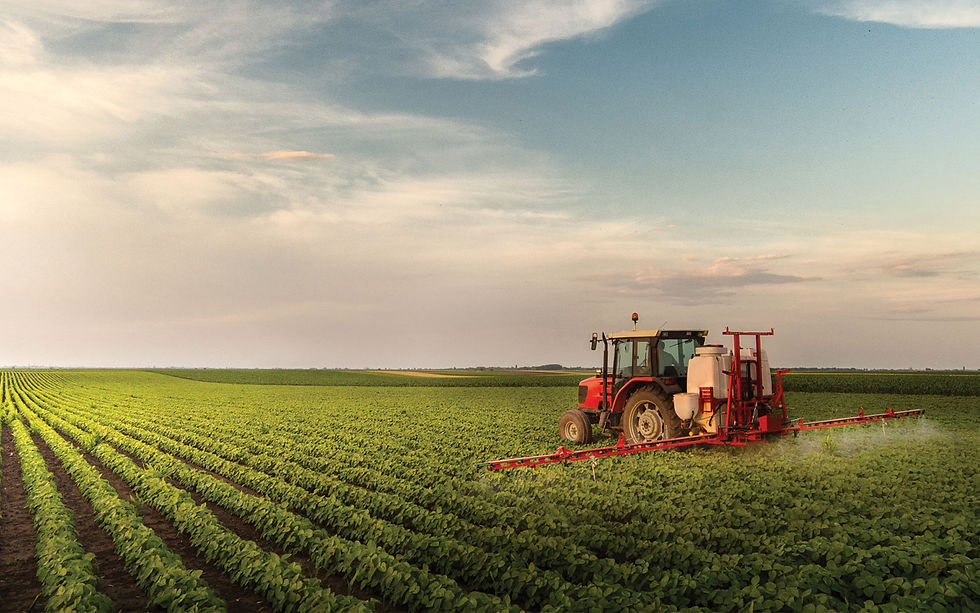 AGRIBUSINESS AND UNDERUTILIZED MONEY-MAKING VENTURE