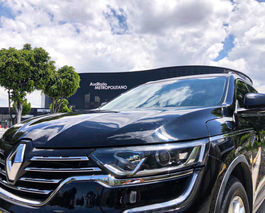 Koleos5.jpg