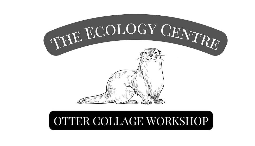 Otter Collage Workshop