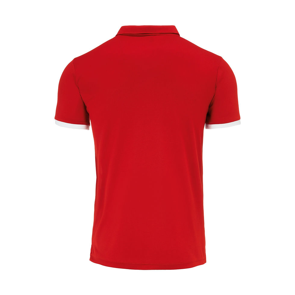 Miniature : Polo JOHN ERREA adulte ou junior