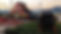 IMG20221109175314-01.jpeg