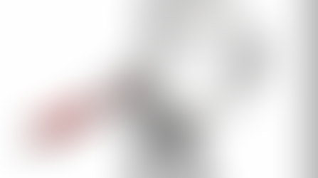 Inside the Manifesto