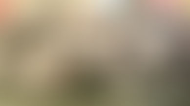 Framework Scrum - O Início