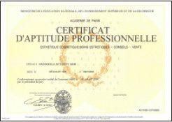 CAP Aesthetics - National Qualification in France