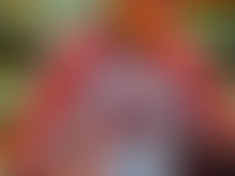 Here I am! The authentic Jodi script