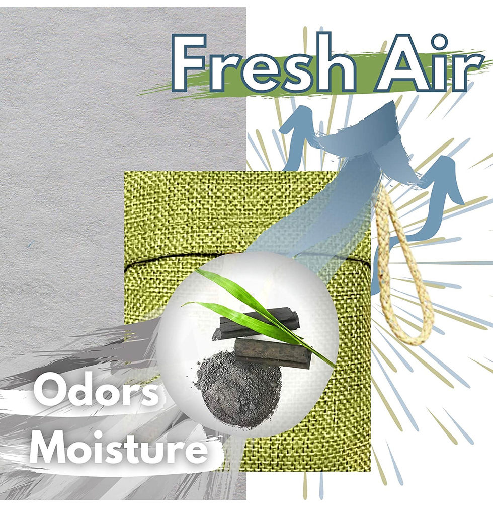 Thumbnail: Bamboo Charcoal Air Purifying Bags