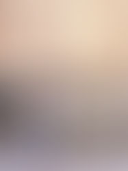 Jardin Majorelle + Bahia Palace | Marrakech