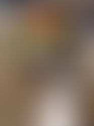 Scribe Sunday | Sonoma