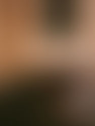 Cane + Table | New Orleans