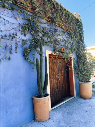 Todos Santos | Baja California