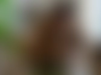 Staying Calm in Chaos: Managing Anxiety During the 2024 Election