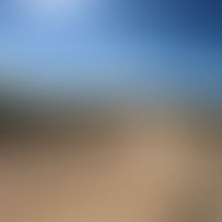 Mid August Newsletter