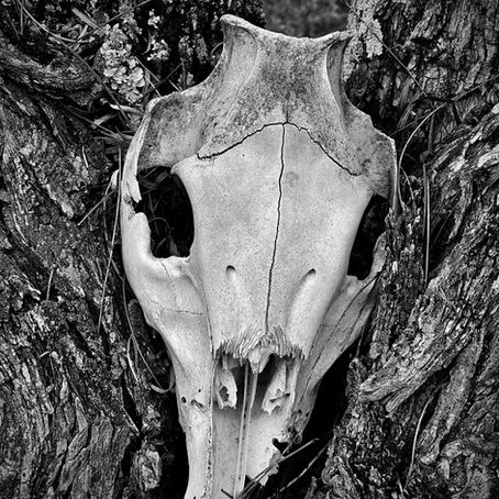 as the night the day