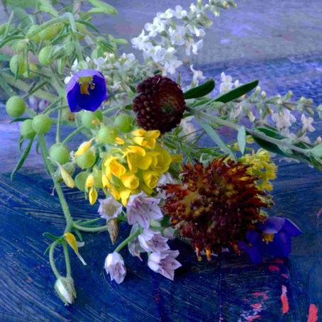 There are always flowers for those who wish...