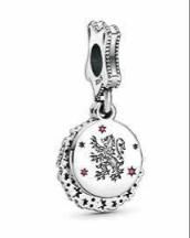 Charms Harry Potter