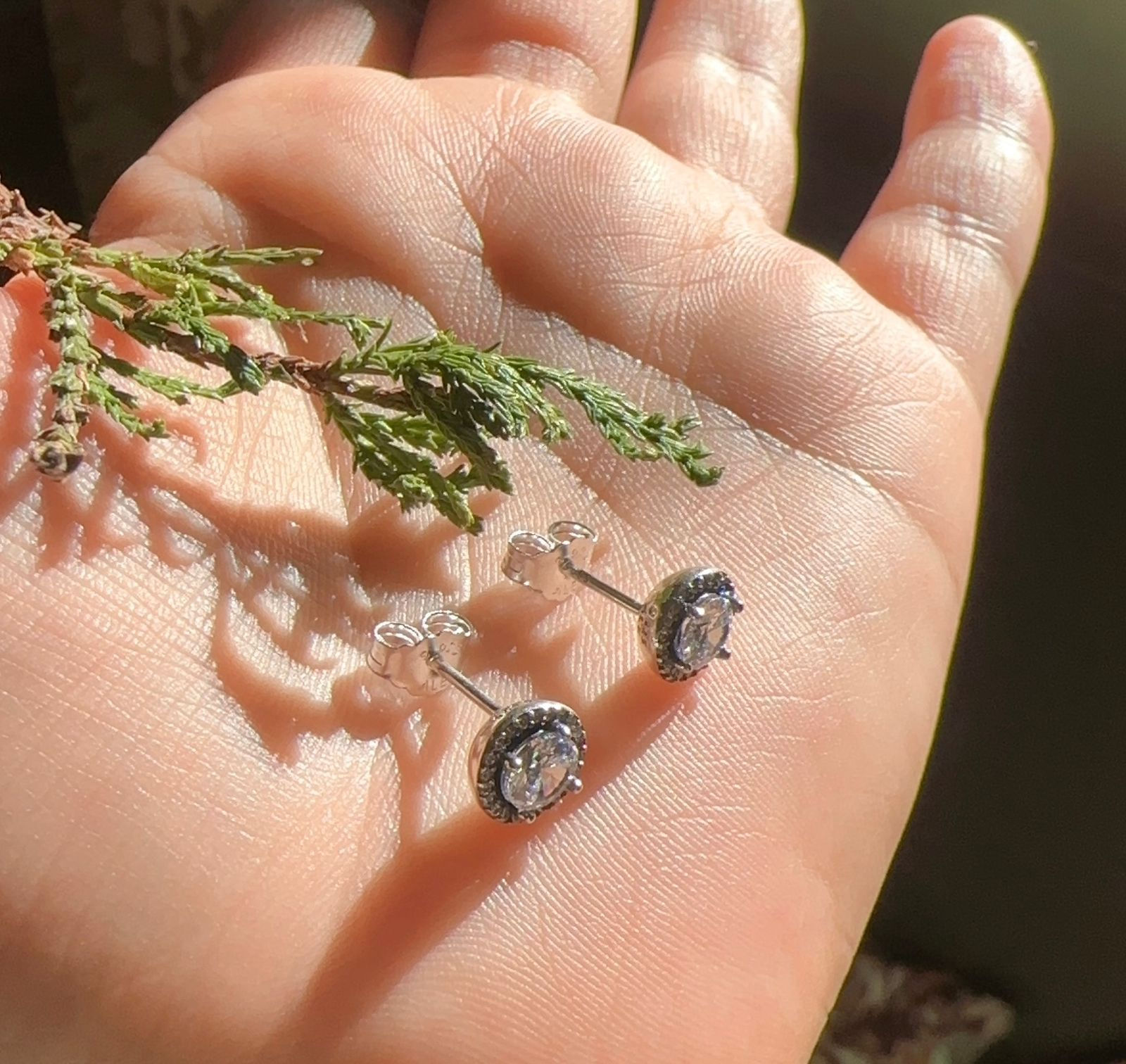 Aretes topos brillante con circones alrededor plata 925.