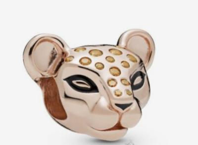 Charms Pand