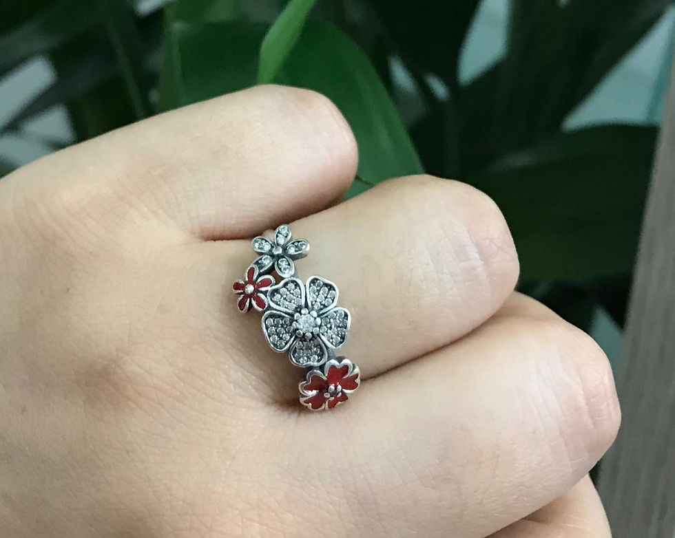 Anillo de Plata