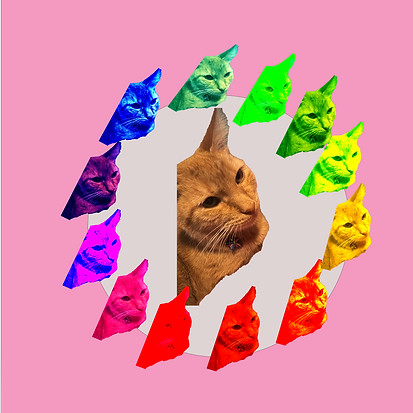 Untitled-1.png