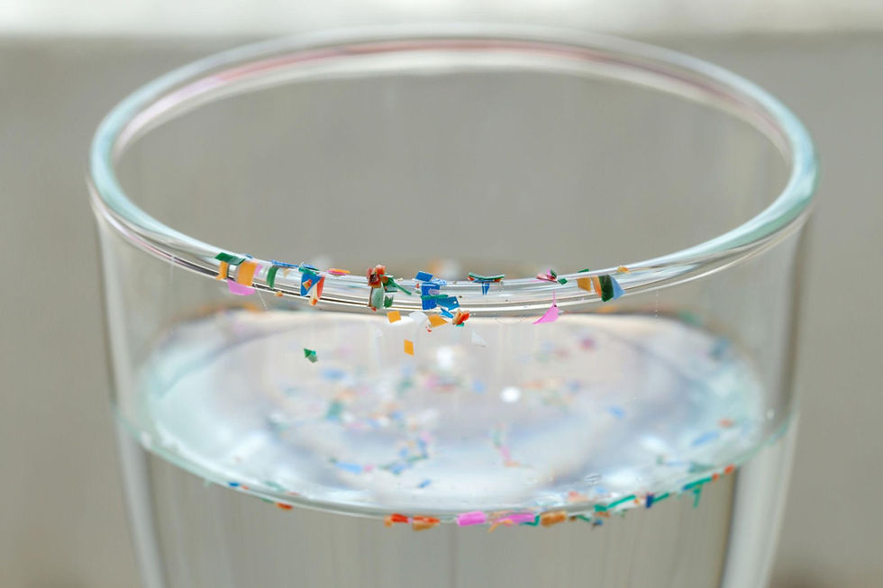 The Rising Concern of Microplastics in Drinking Water