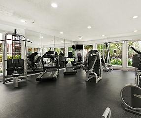 Untitled design (1).jpg