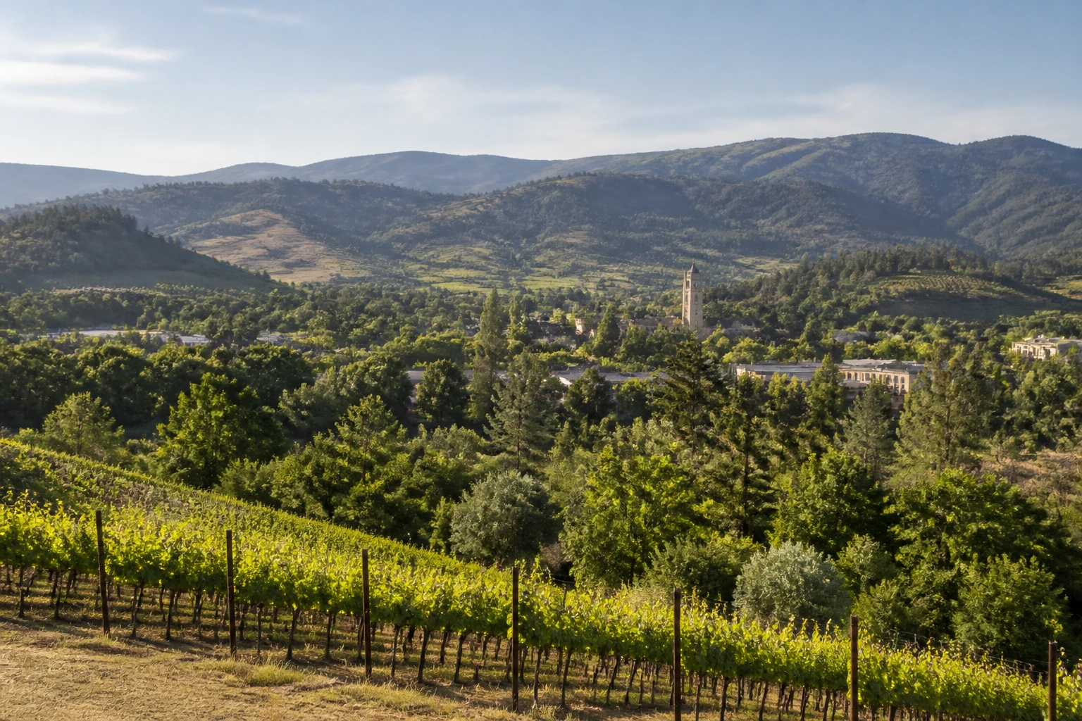 Representative regional destination view: Napa Valley, United States; rural terrain and cultivated landscape, not an exact landmark photograph.