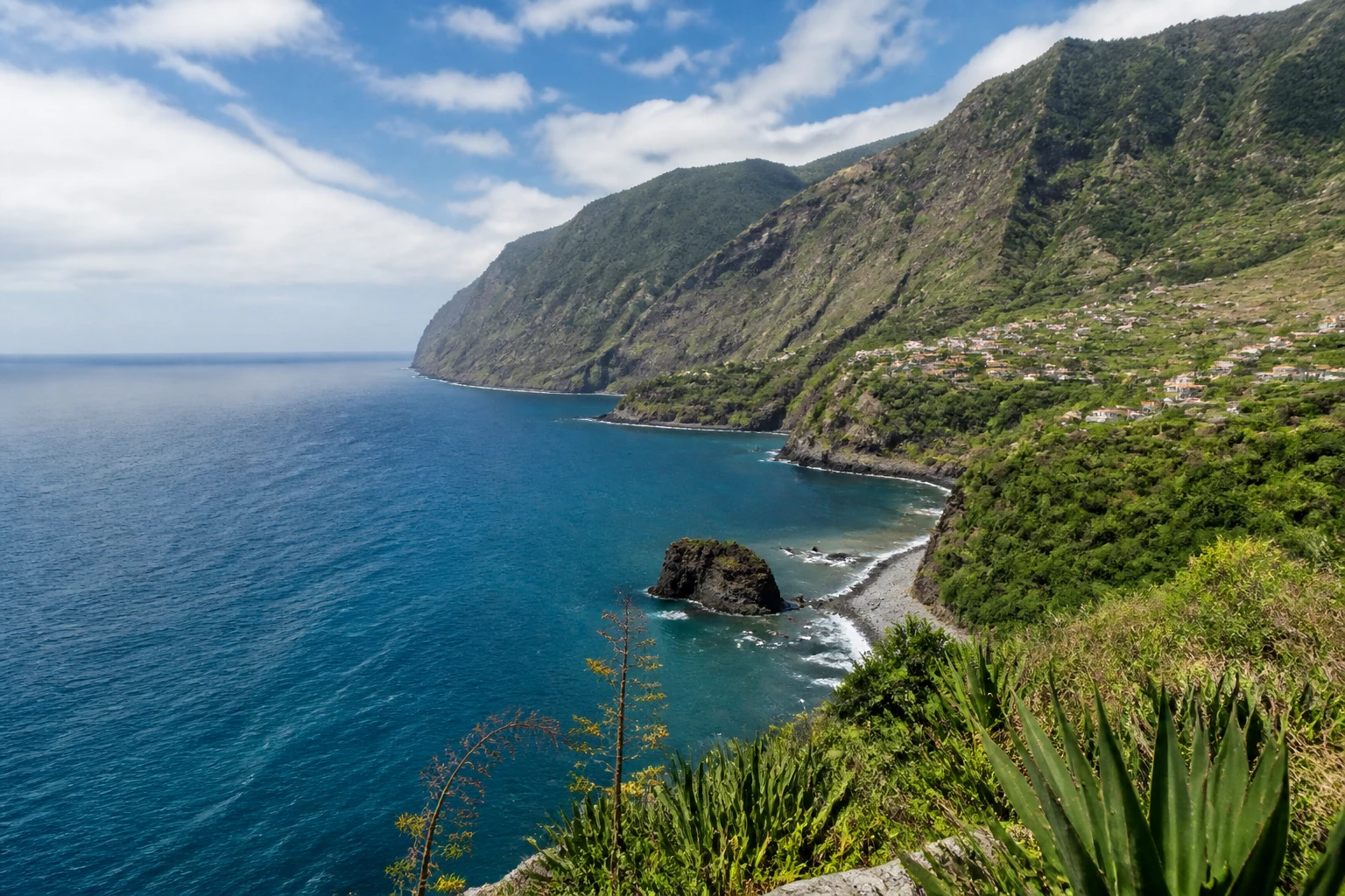 Representative island destination view: Madeira, Portugal; coastline and regional vegetation, not an exact landmark photograph.