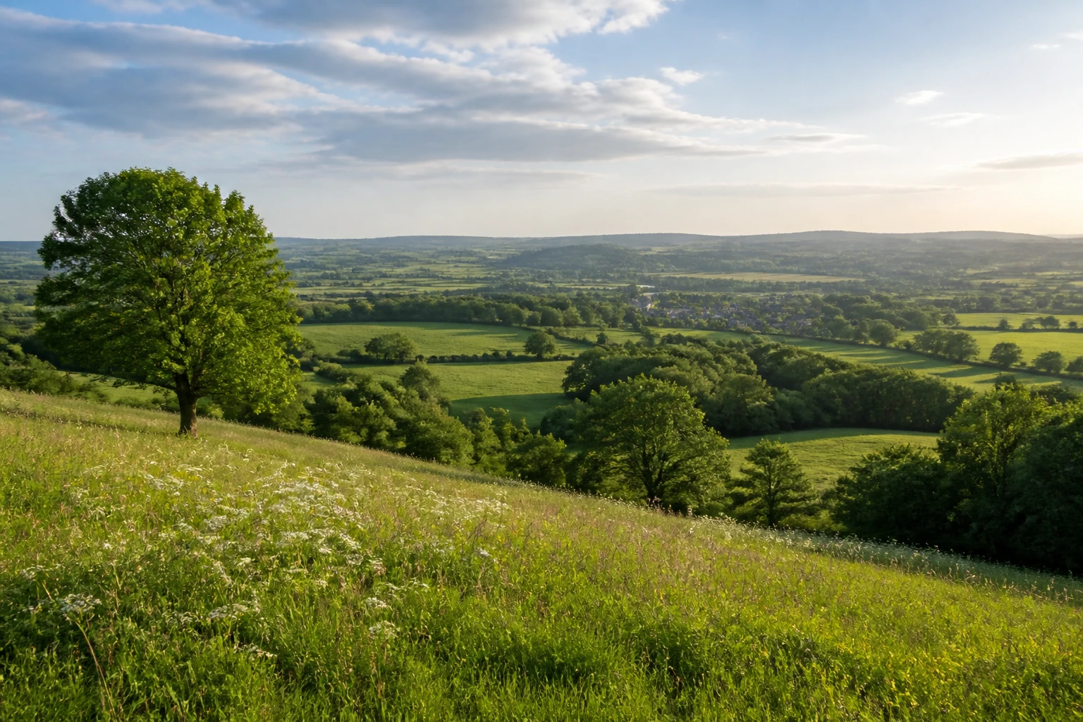 Representative nature destination view of Cotswolds in United Kingdom, with regional terrain, vegetation, and natural light; not an exact landmark photograph.