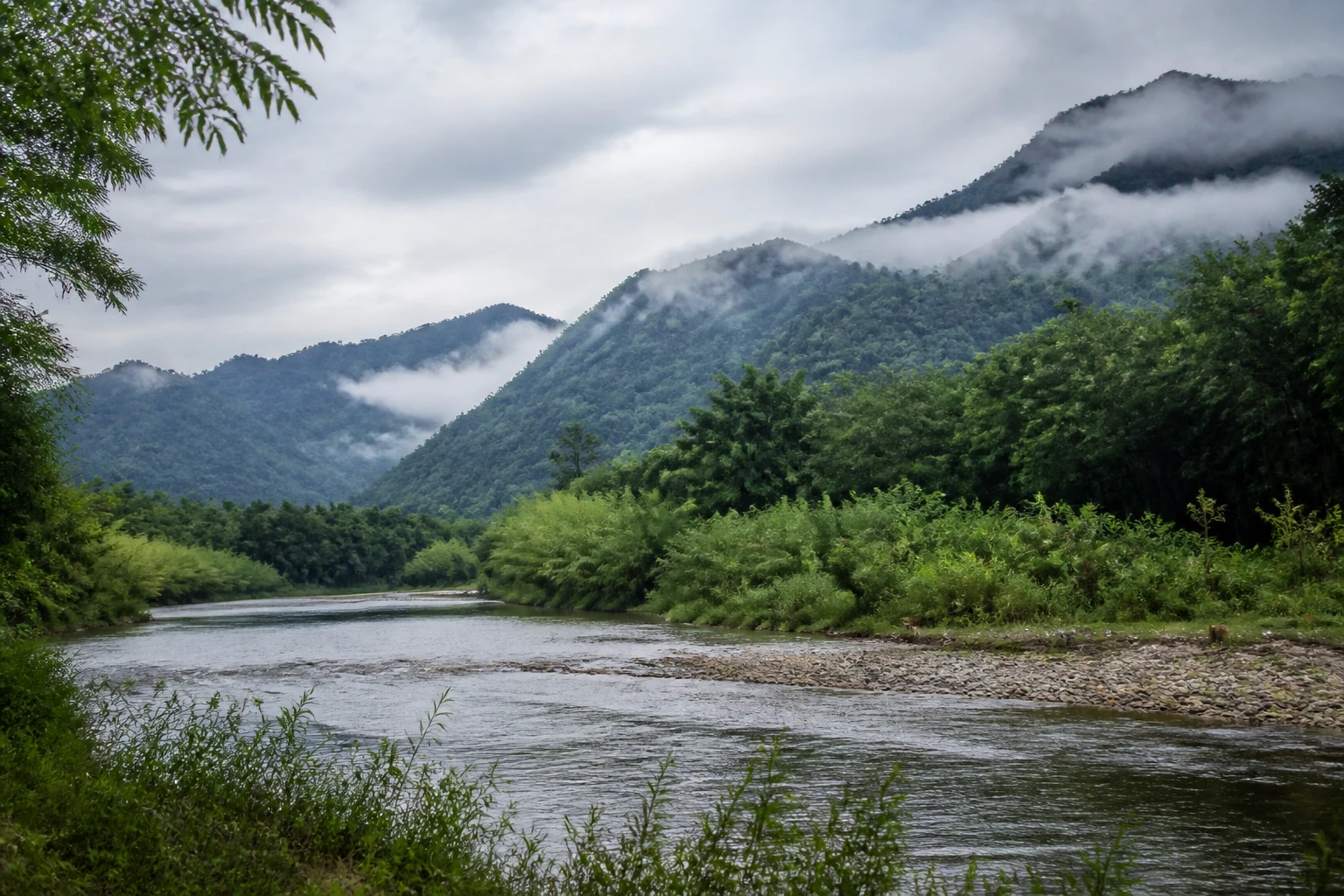 Representative nature destination view: Chengdu, China; regional wildlife habitat and native vegetation, not an exact landmark photograph.