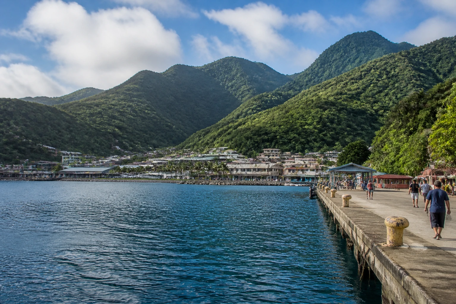 Representative cruise port destination view: Pago Pago, American Samoa; passenger waterfront and harbor water, not an exact landmark photograph.