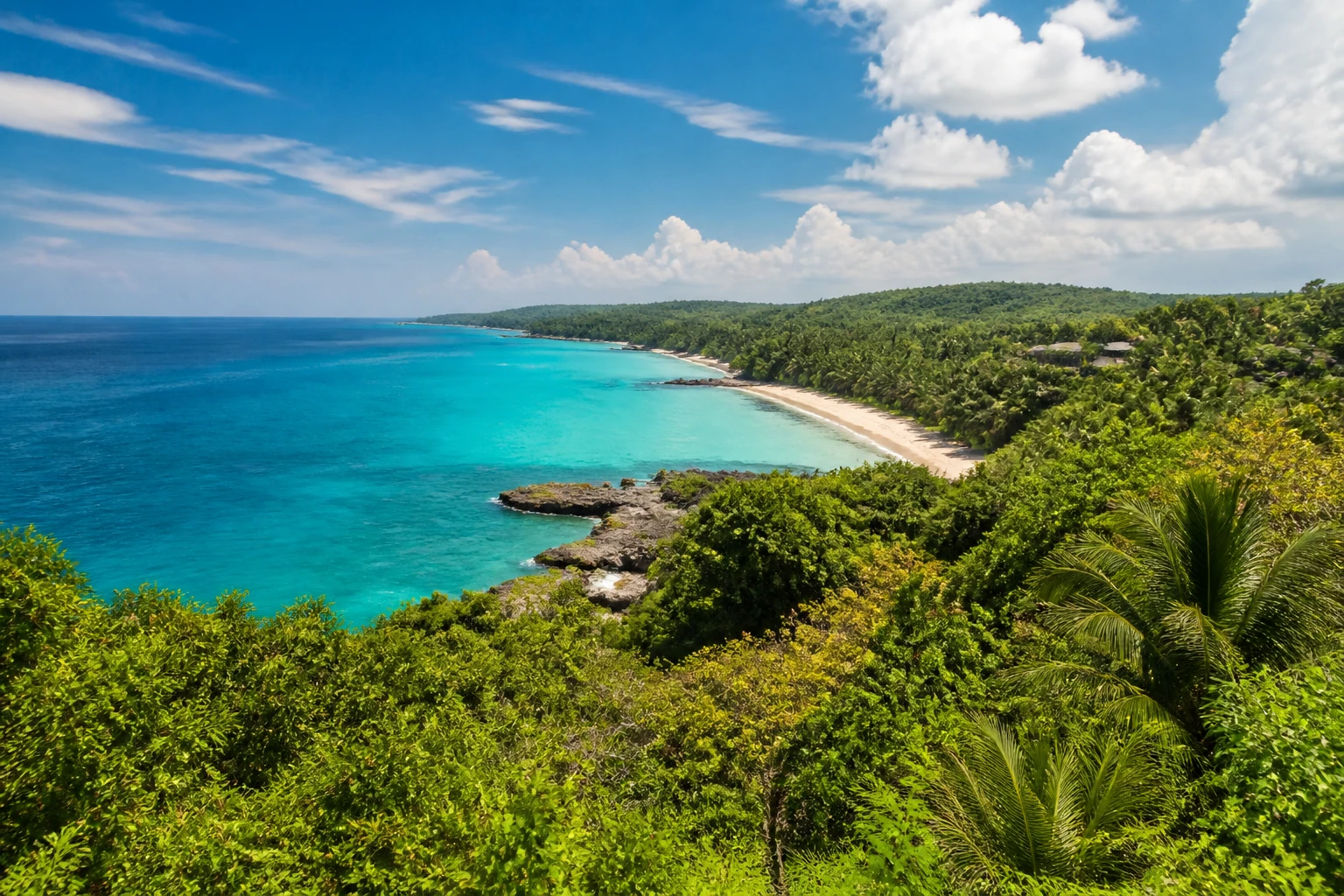 Representative island destination view: Bohol, Philippines; coastline and regional vegetation, not an exact landmark photograph.