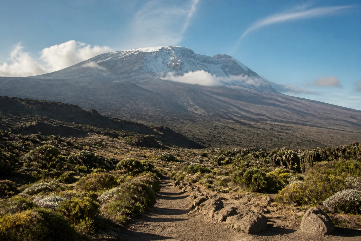 Representative mountain destination view: Mount Kilimanjaro, Tanzania; mountain or canyon terrain and regional vegetation, not an exact landmark photograph.
