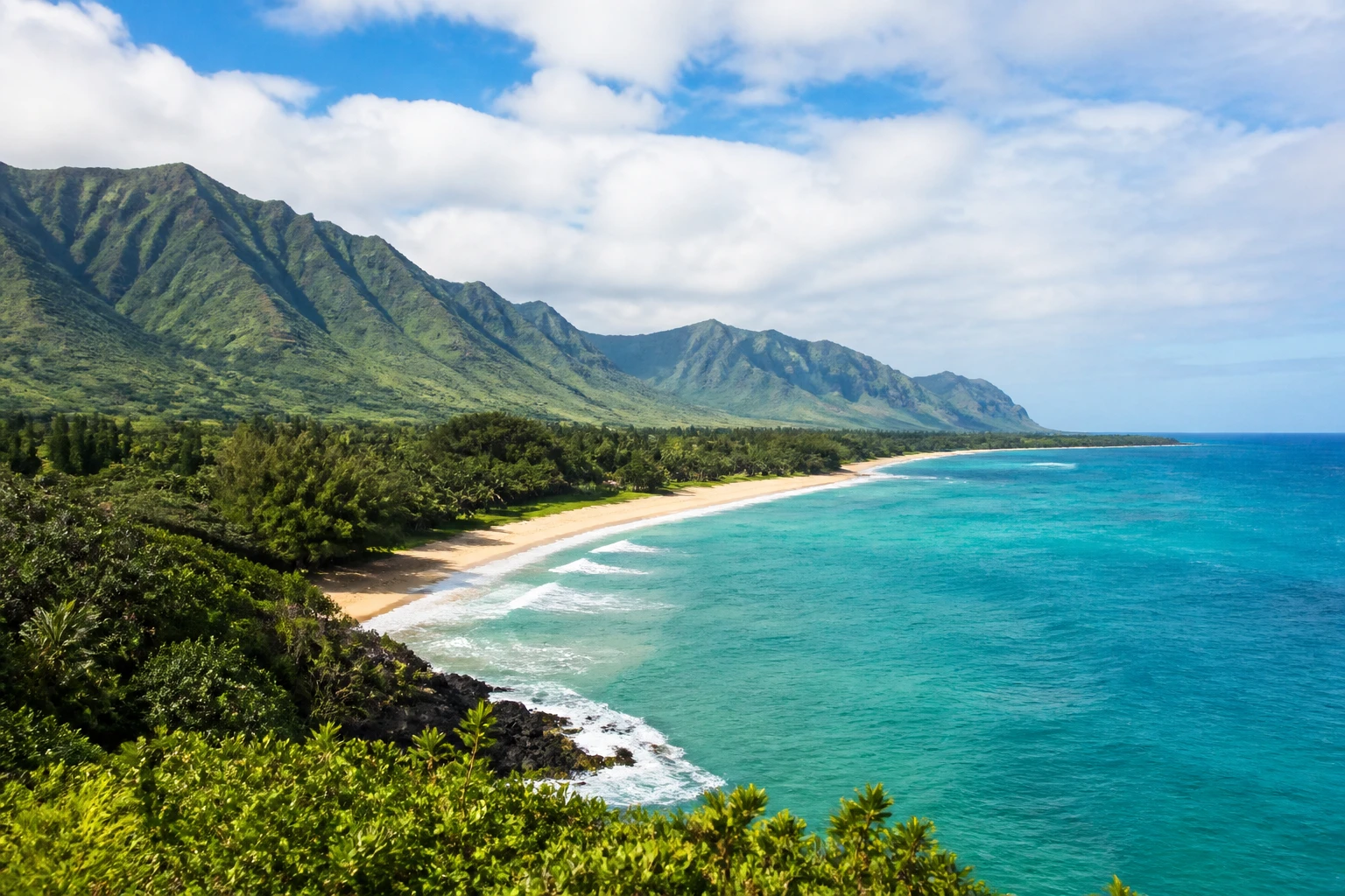 Representative island destination view: Kauai, United States; coastline and regional vegetation, not an exact landmark photograph.