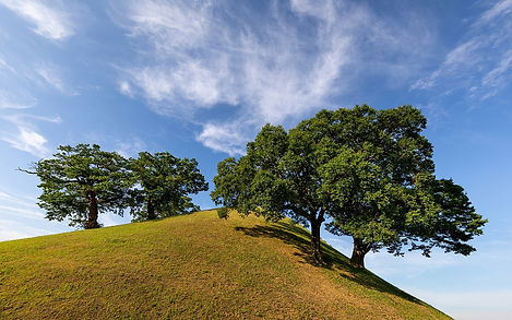Gyeongju Historic District, a destination or experience featured on the Discover South Korea Globus tour