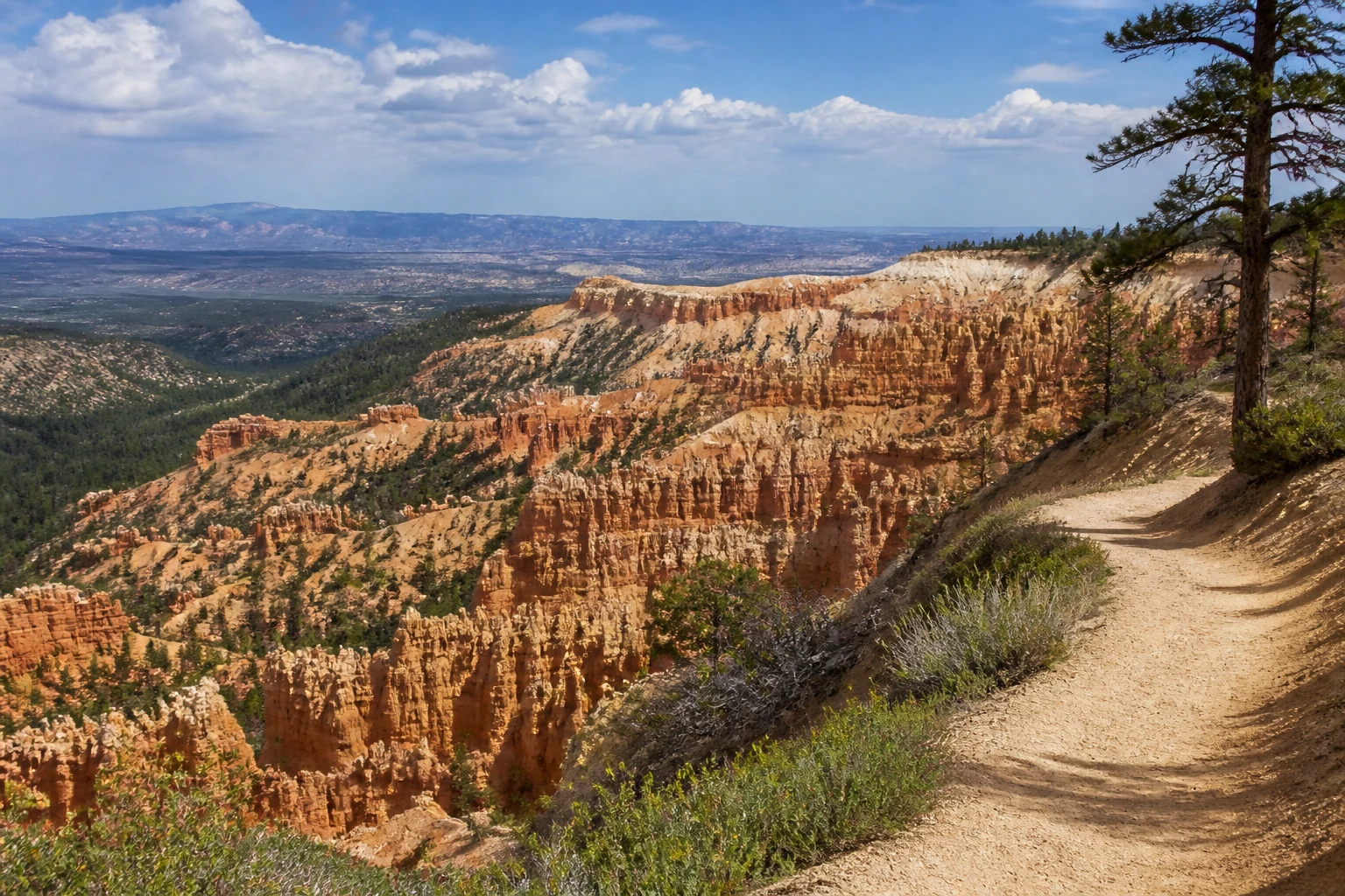 Representative national park destination view: Bryce Canyon National Park, United States; protected terrain and native vegetation, not an exact landmark photograph.