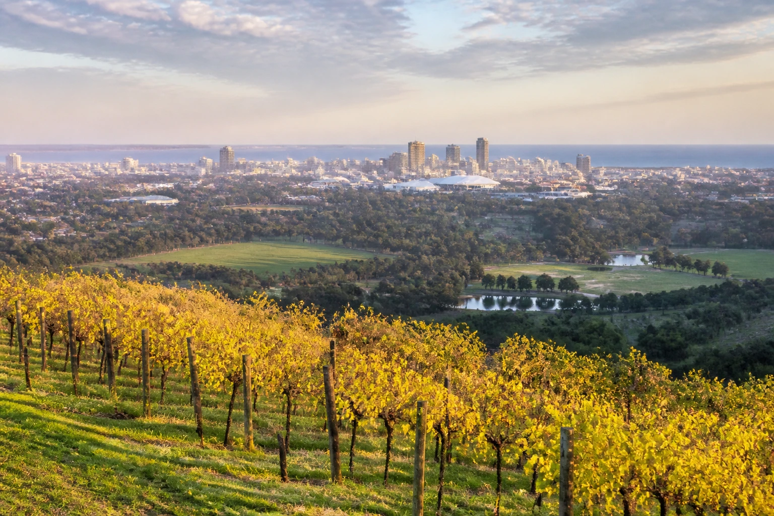 Representative city destination view: Adelaide and Barossa Valley, Australia; rural terrain and cultivated landscape, not an exact landmark photograph.