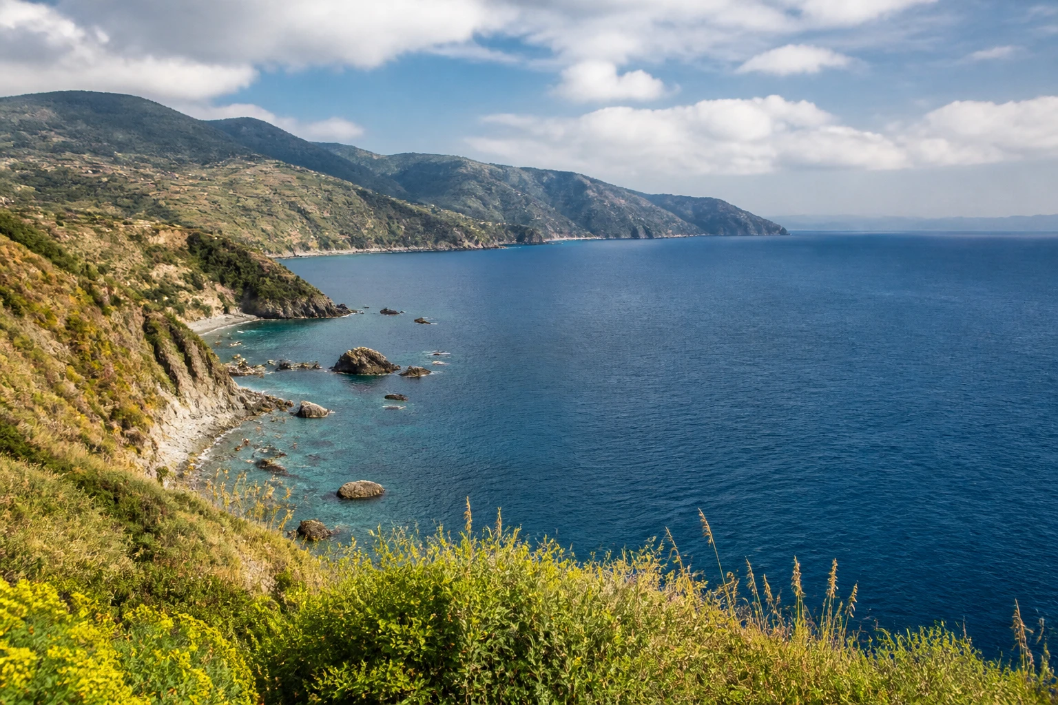 Representative island destination view: Sicily, Italy; coastline and regional vegetation, not an exact landmark photograph.