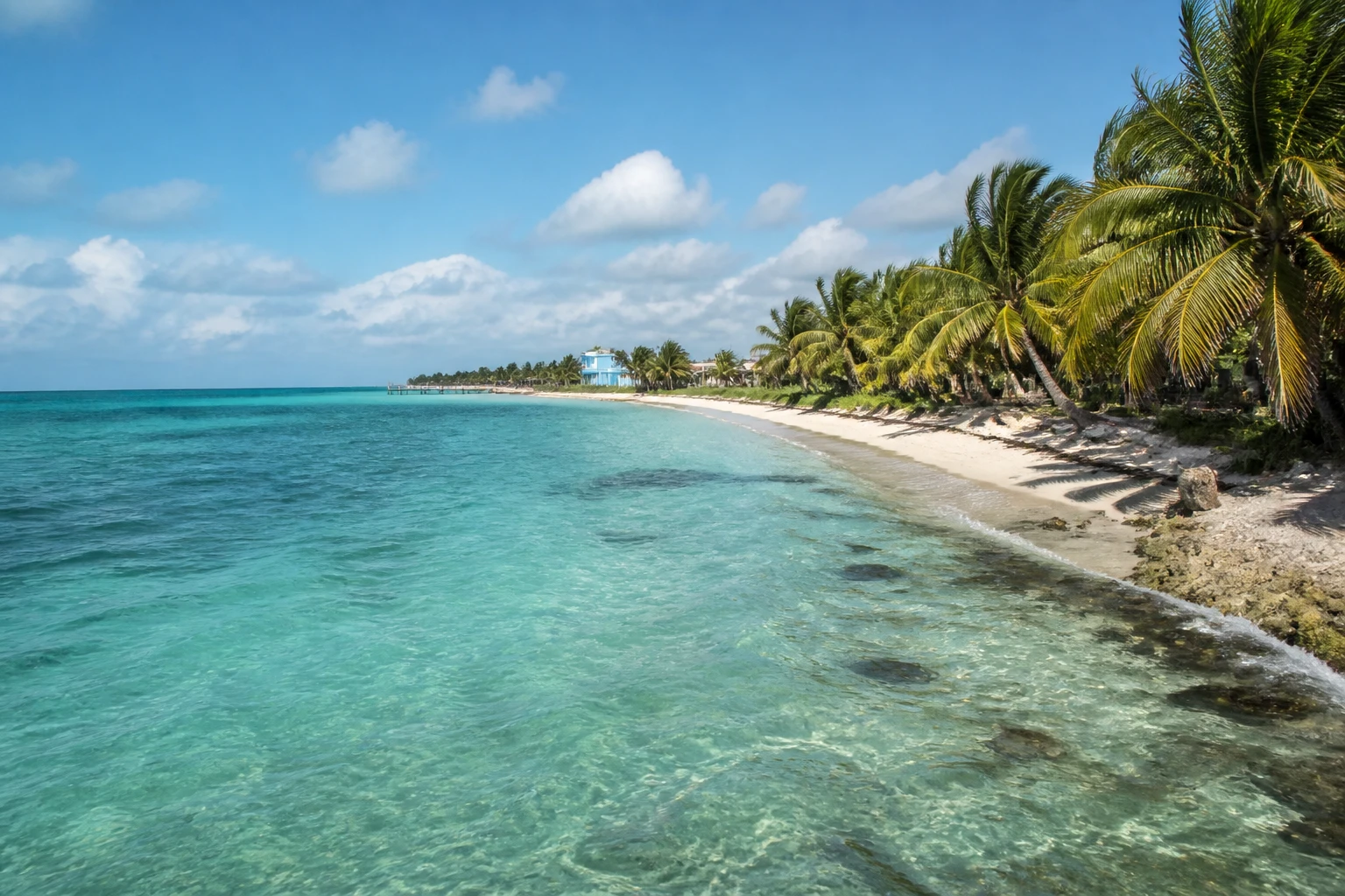 Representative island destination view: Caye Caulker, Belize; coastline and regional vegetation, not an exact landmark photograph.